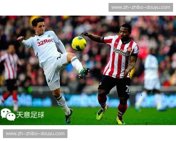 黑猫白猫，论道圣玛丽球场：桑德兰与斯旺西的绿茵情仇